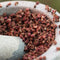 Szechuan Pepper